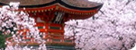 Asia Cruise